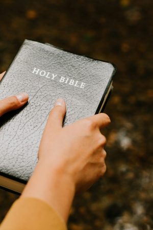 Bibles