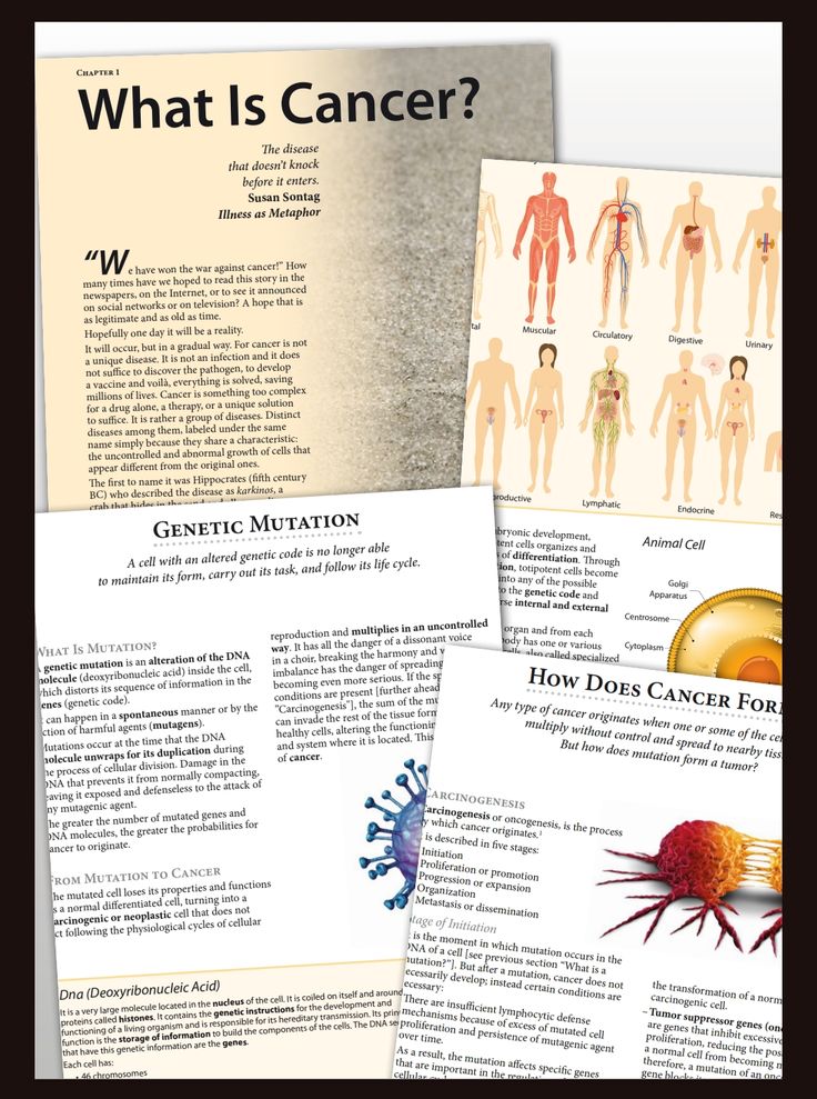 Cancer: Practical Guide to Understanding, Preventing and Coping with the Disease - Image 3