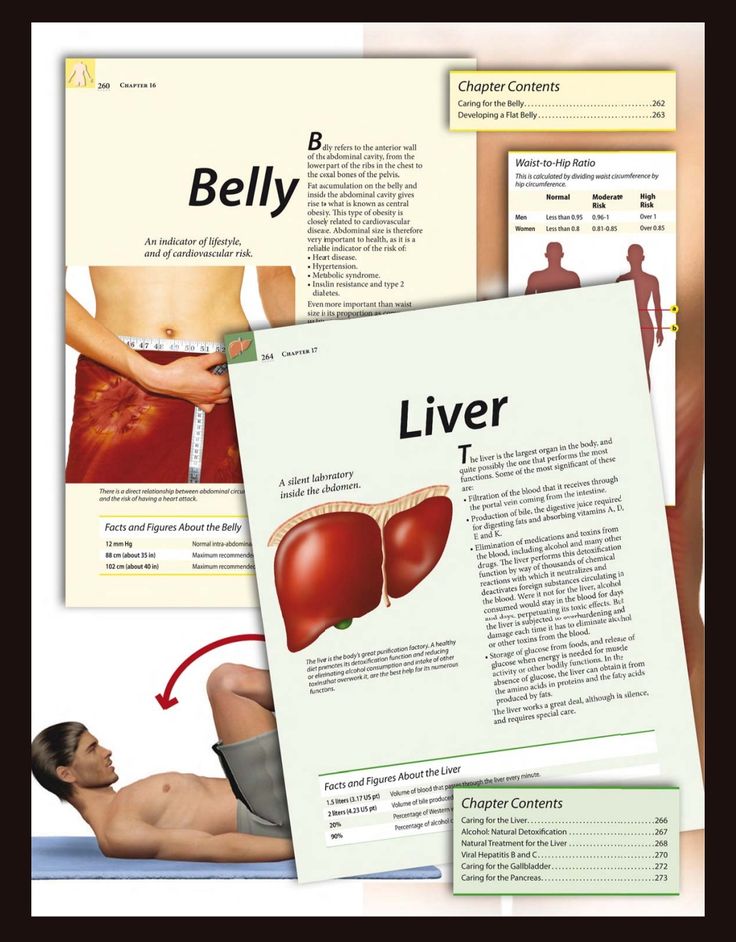 Healthy Body: Understanding Your Body for Better Health & Wellness - Image 8
