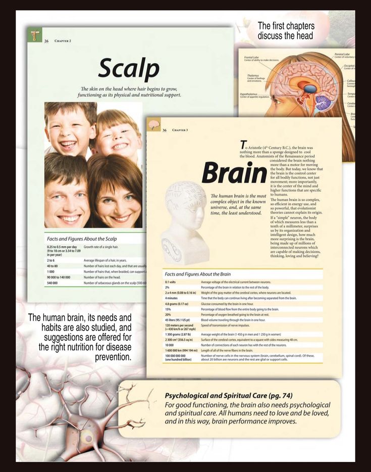 Healthy Body: Understanding Your Body for Better Health & Wellness - Image 7