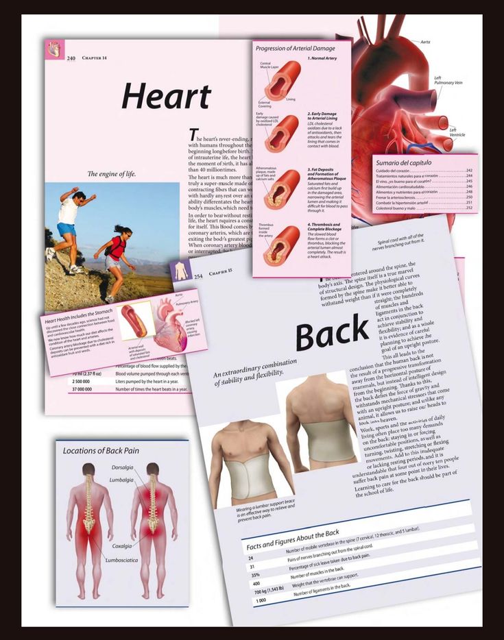 Healthy Body: Understanding Your Body for Better Health & Wellness - Image 3
